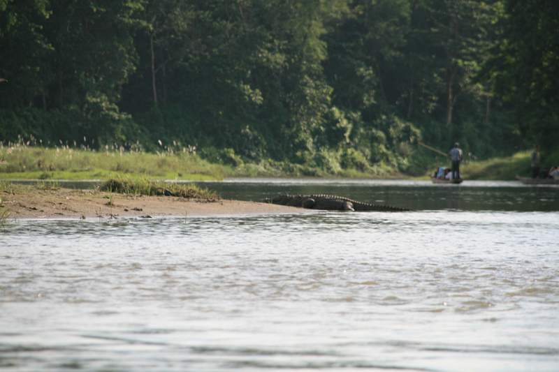 India & Nepal 2011 - 0579